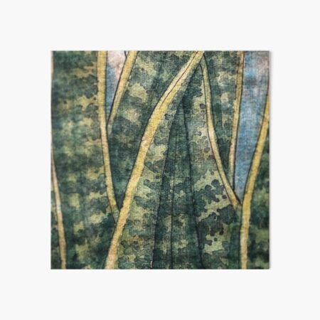 Sansevieria Macro Watercolor Art Board Print