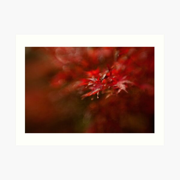 Maple Art Print
