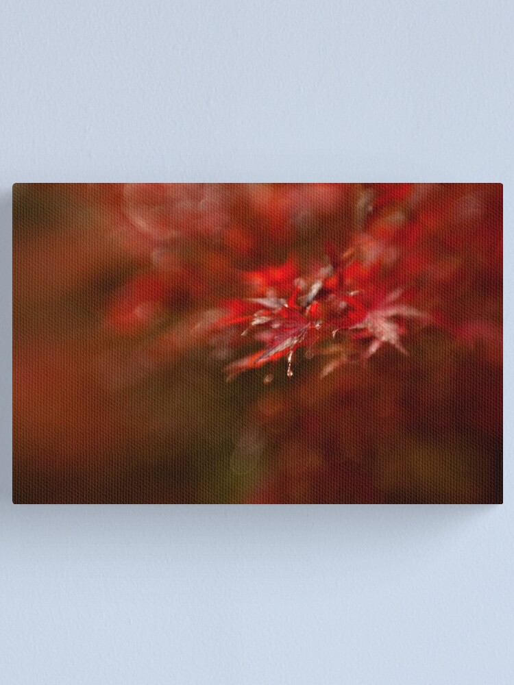 Alternate view of Maple Canvas Print