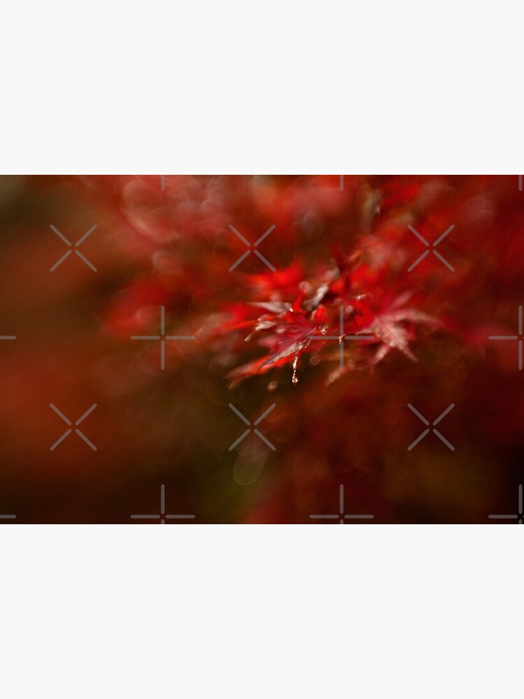 Maple by MelBrackstone