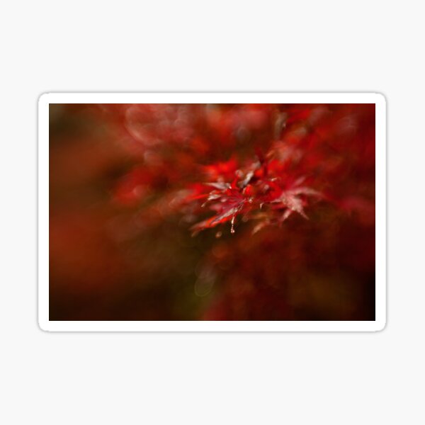 Maple Sticker