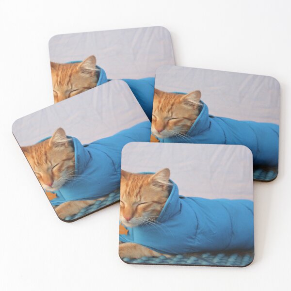 Item preview, Yosemite the cat in down jacket designed and sold by Zach Auerbach.