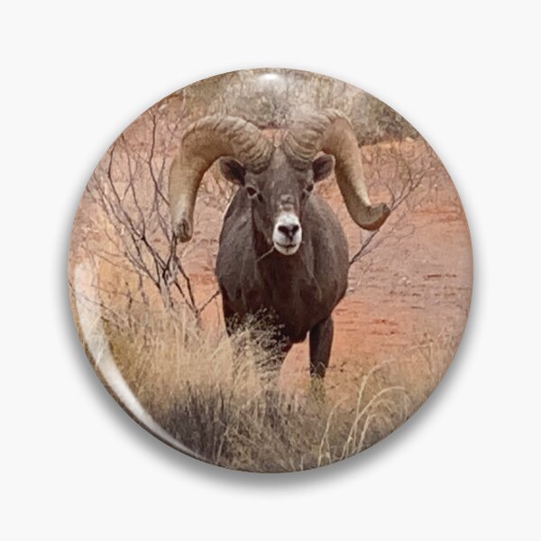 Item preview, Desert Bighorn designed and sold by GraceSage.