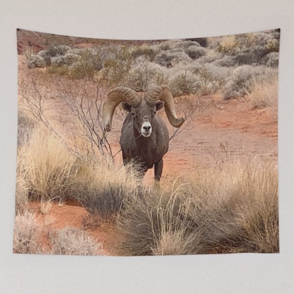 Item preview, Desert Bighorn designed and sold by GraceSage.