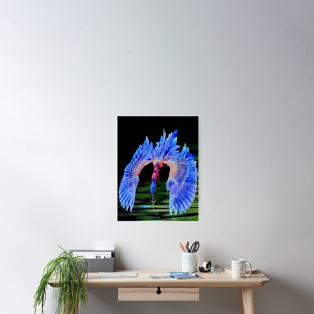 Diving Bird Poster