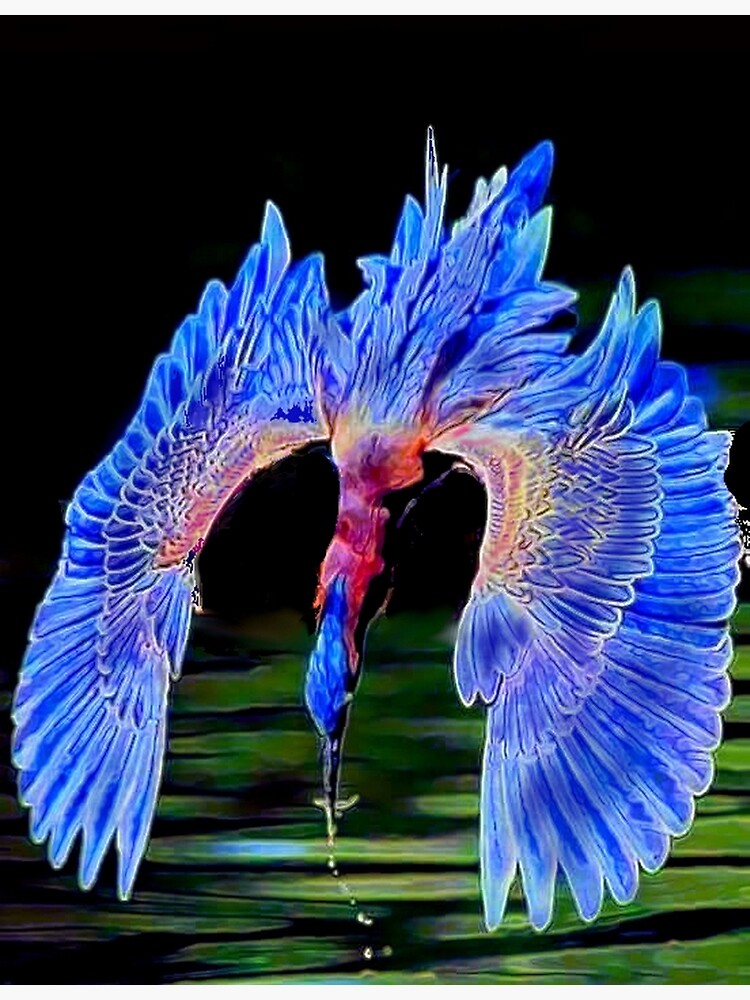Diving Bird by michaeltodd