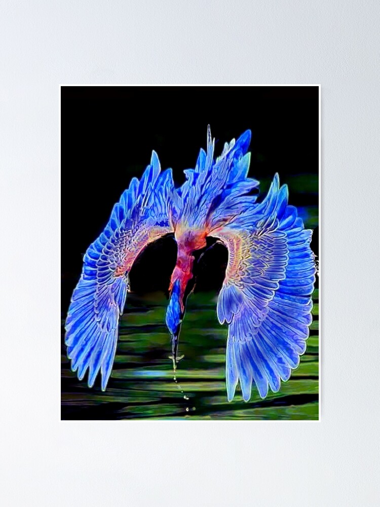 Alternate view of Diving Bird Poster