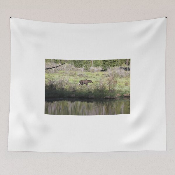Item preview, Moose in the Meadow designed and sold by Zach Auerbach.