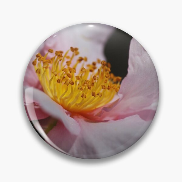 Item preview, Camellia Of Curves designed and sold by Joy Watson - Natural Light Photography .