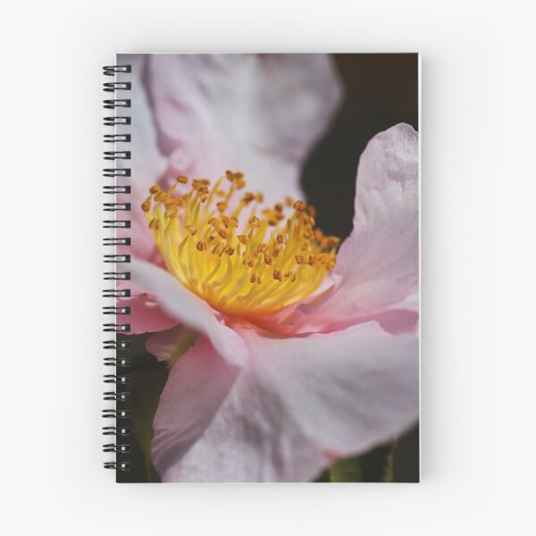 Item preview, Camellia Of Curves designed and sold by Joy Watson - Natural Light Photography .