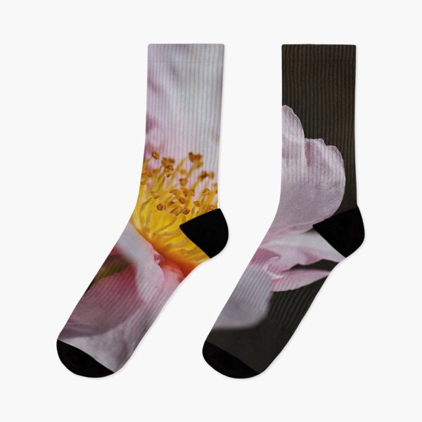 Item preview, Camellia Of Curves designed and sold by Joy Watson - Natural Light Photography .