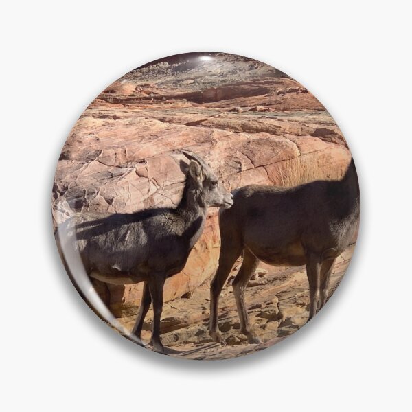 Item preview, Desert Bighorn designed and sold by GraceSage.