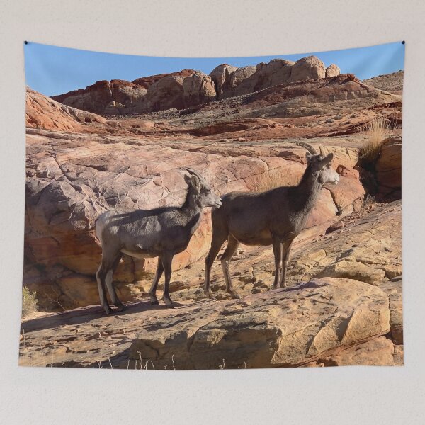 Item preview, Desert Bighorn designed and sold by GraceSage.
