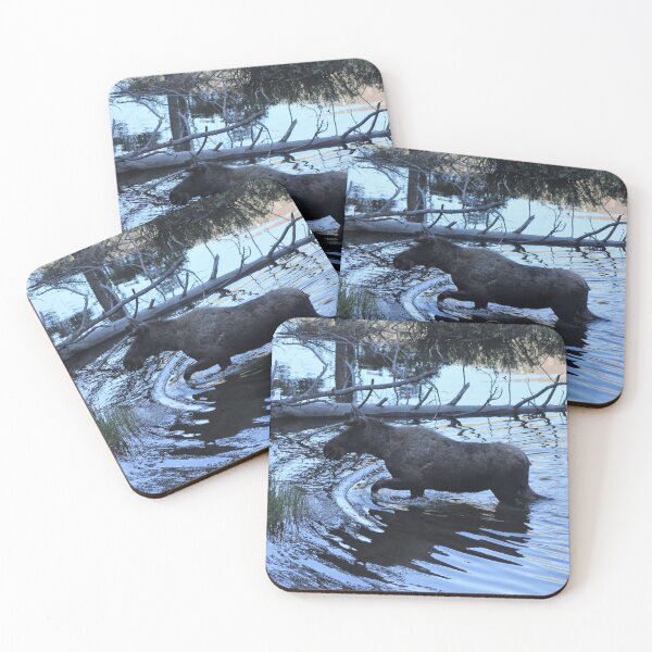 Item preview, Moose at RMNP designed and sold by Zach Auerbach.