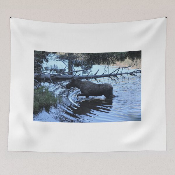 Item preview, Moose at RMNP designed and sold by Zach Auerbach.