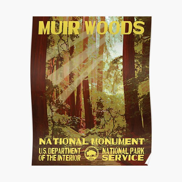 Muir Woods National Monument Park Poster Poster