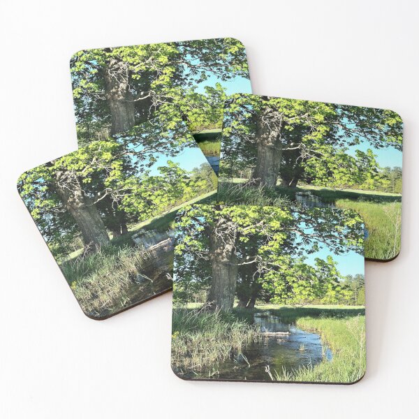 Item preview, Shady Brook designed and sold by CJGrimes.