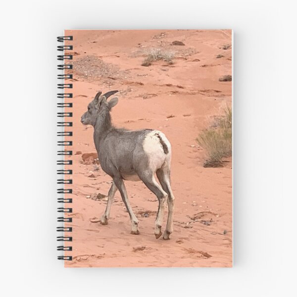 Item preview, Desert Bighorn designed and sold by GraceSage.