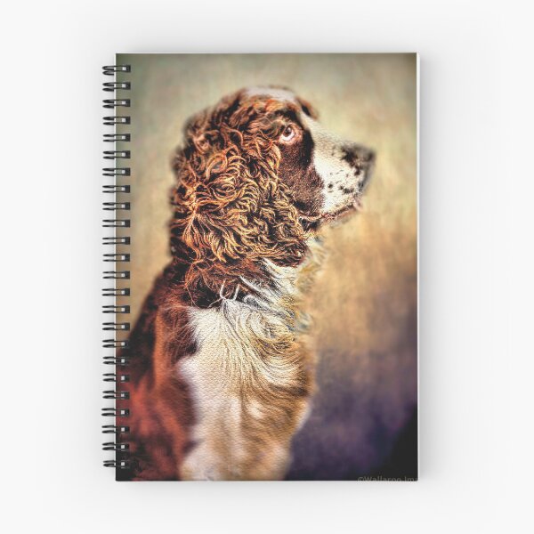 Item preview,  mi Springer Spaniel Inglés ¡Qué raza tan hermosa son!

De mi propia foto original designed and sold by wallarooimages.