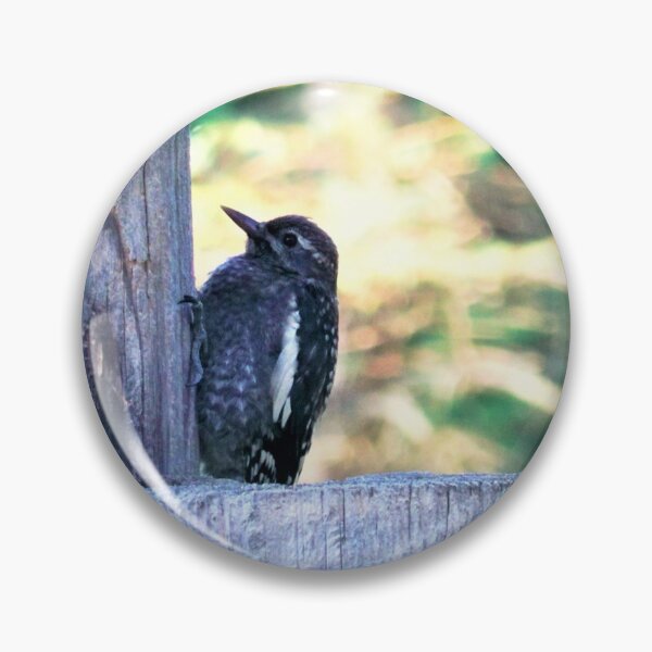 Item preview, Juvenile Sapsucker designed and sold by CJGrimes.