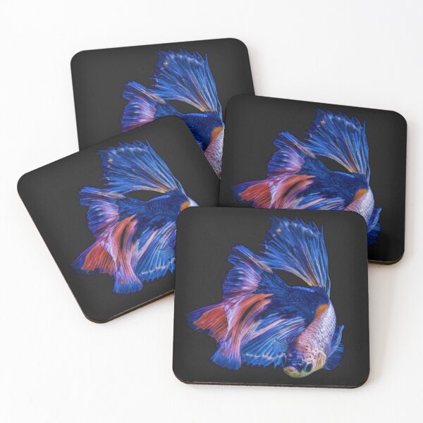 Item preview, Siamese Fighting Fish; Red And Blue Betta designed and sold by Heathermarie321.