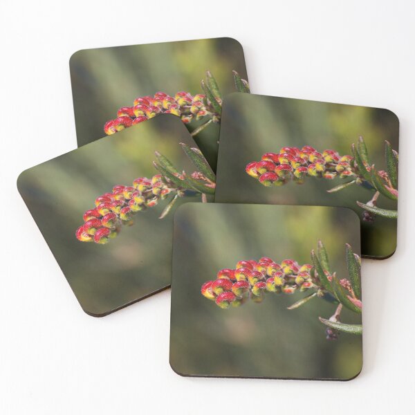 Item preview, Grevillea Goes Into Fireworks designed and sold by Joy Watson - Natural Light Photography .
