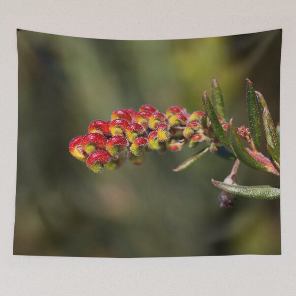 Item preview, Grevillea Goes Into Fireworks designed and sold by Joy Watson - Natural Light Photography .