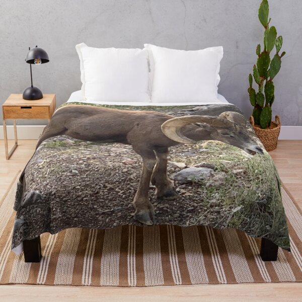 Item preview, Desert Bighorn designed and sold by GraceSage.