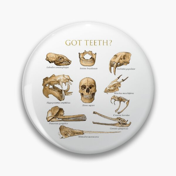 Artikelvorschau, Hast du Zähne? T-Shirt Design entworfen und verkauft von DentalHygiene22.