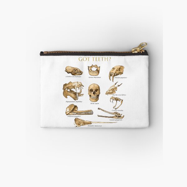Artikelvorschau, Hast du Zähne? T-Shirt Design entworfen und verkauft von DentalHygiene22.