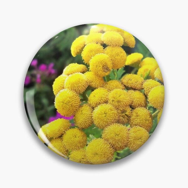 Item preview, Tall Tansy designed and sold by CJGrimes.