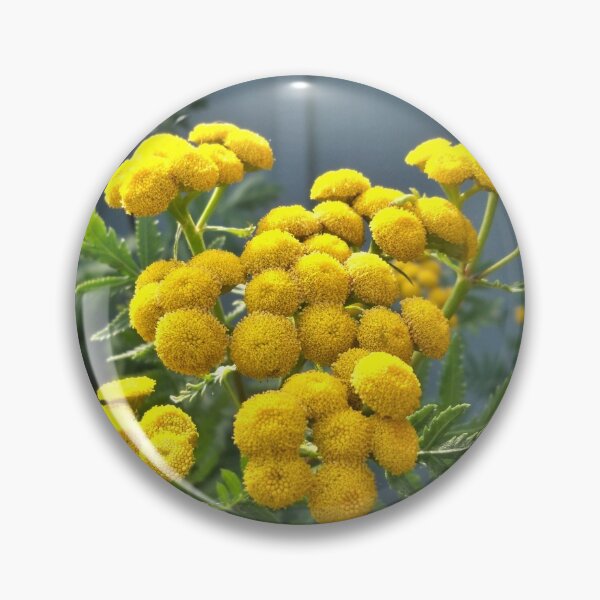 Item preview, Miniature Suns designed and sold by CJGrimes.