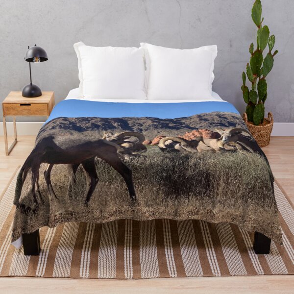 Item preview, Desert Bighorn designed and sold by GraceSage.