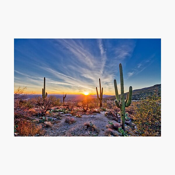Tucson Sunset Photographic Print