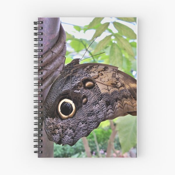 Item preview, Owl Eyes designed and sold by CJGrimes.