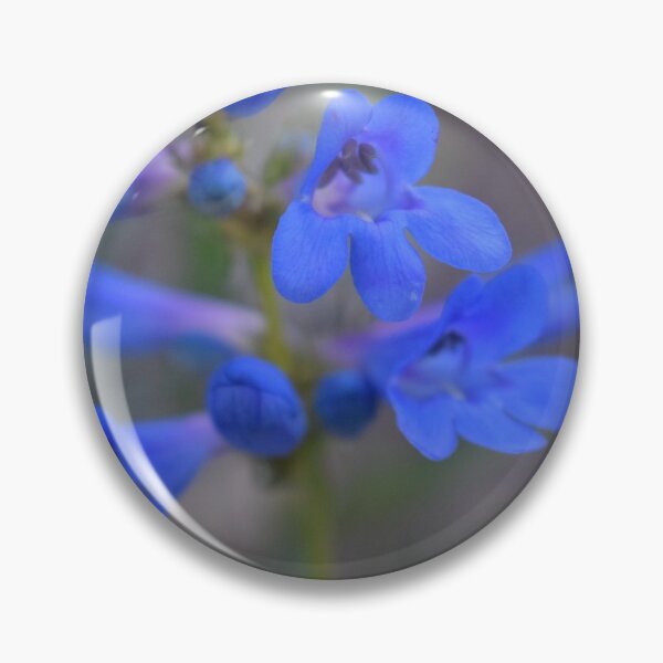 Item preview, a pretty blue flower designed and sold by LUSTICKNEY.