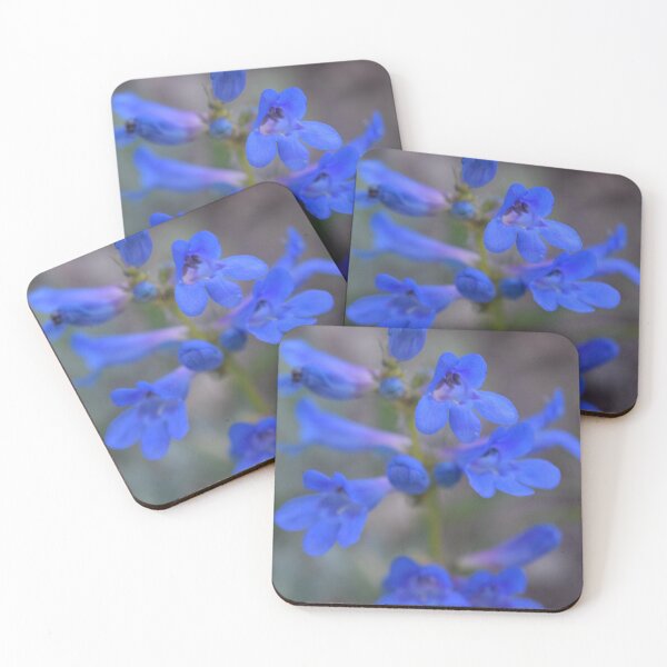 Item preview, a pretty blue flower designed and sold by LUSTICKNEY.