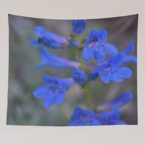 Item preview, a pretty blue flower designed and sold by LUSTICKNEY.