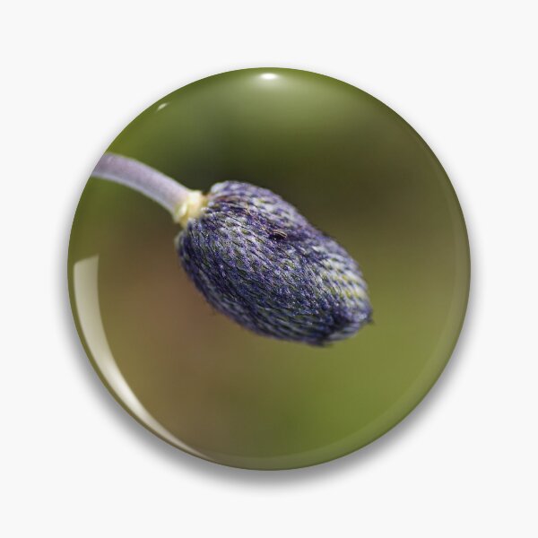 Item preview, Blue Anemone Solo Bud designed and sold by Joy Watson - Natural Light Photography .