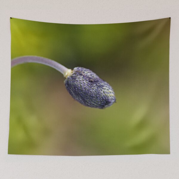 Item preview, Blue Anemone Solo Bud designed and sold by Joy Watson - Natural Light Photography .