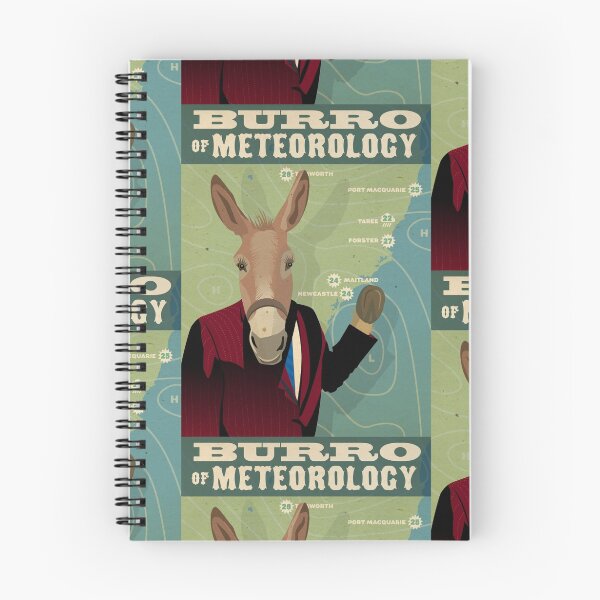 Item preview, Burro of Meteorology - North Coast NSW designed and sold by Chris Rees.