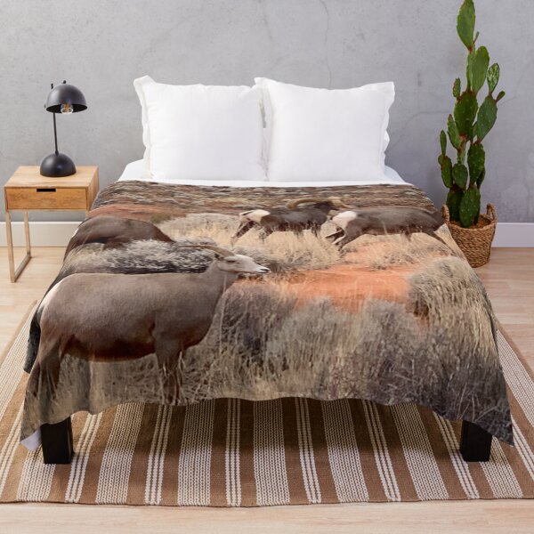 Item preview, Desert Bighorn designed and sold by GraceSage.