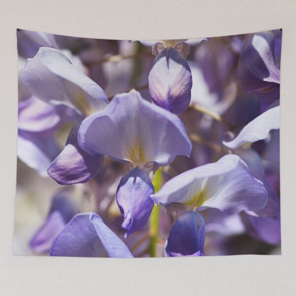 Item preview, Spring Magical Purple Wisteria designed and sold by Joy Watson - Natural Light Photography .