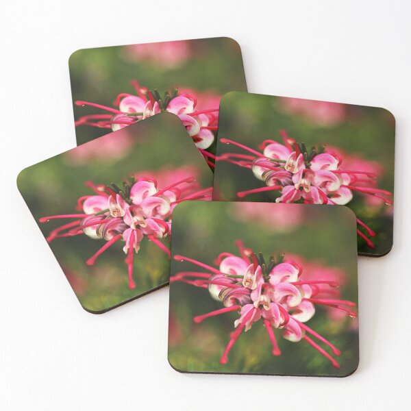 Item preview, Grevillea February Pink designed and sold by Joy Watson - Natural Light Photography .