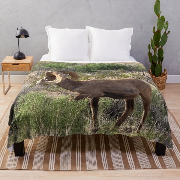 Item preview, Desert Bighorn designed and sold by GraceSage.