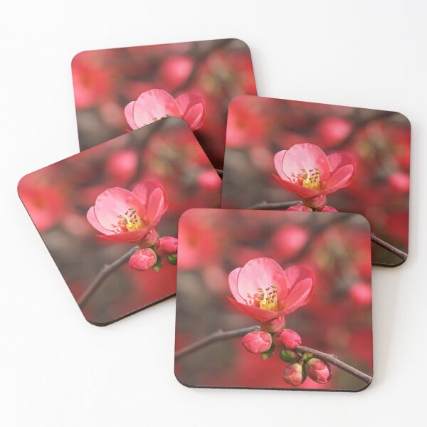 Item preview, Flowering Quince Spring Flora designed and sold by Joy Watson - Natural Light Photography .