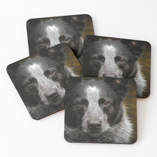 Item preview, Blue Heeler Pup designed and sold by hippynic.