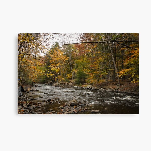 Bushkill River Scene Canvas Print