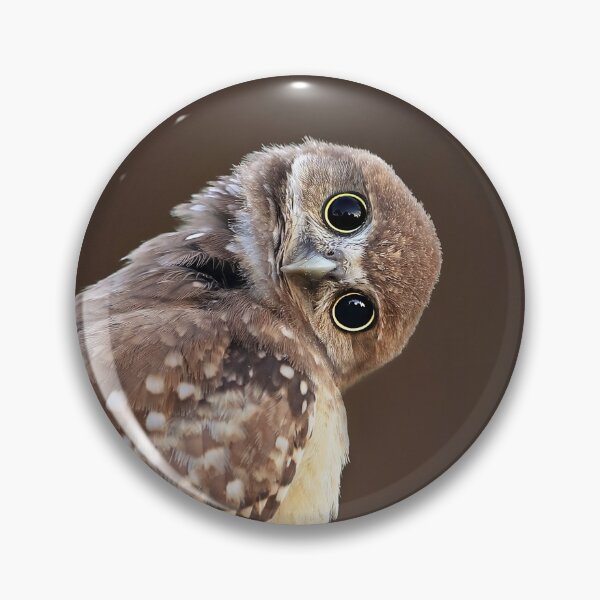 Item preview, Tilted Head Owlet designed and sold by mlorenz.