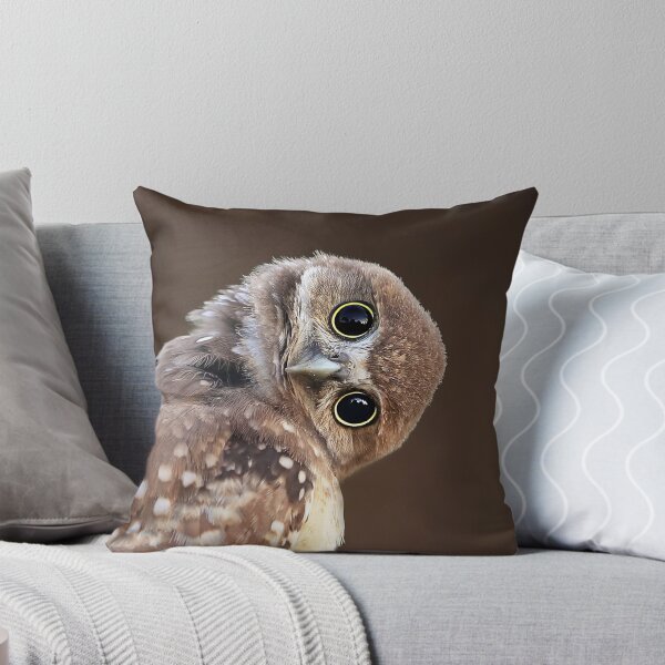 Item preview, Tilted Head Owlet designed and sold by mlorenz.
